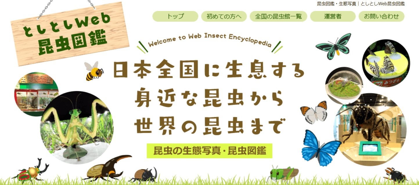 としとしWeb昆虫図鑑・昆虫生態写真
