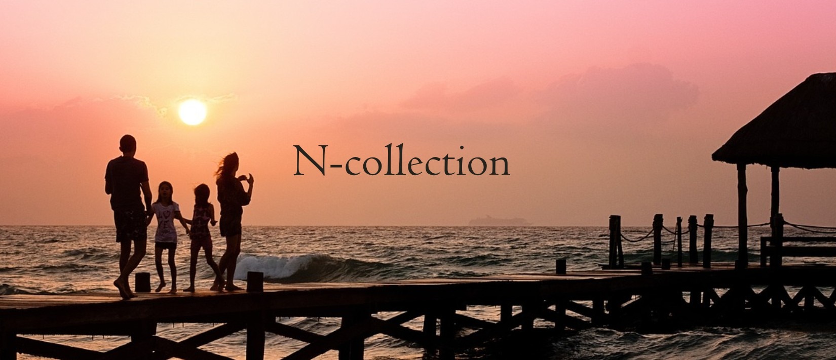 株式会社N-collection